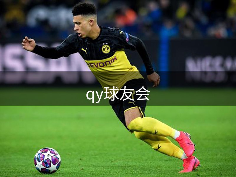 qy球友会概况